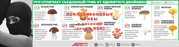 ГАЛЛЮЦИНОГЕННЫЕ ГРИБЫ Бугульма