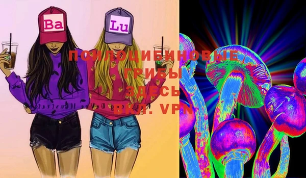ГАЛЛЮЦИНОГЕННЫЕ ГРИБЫ Бугульма