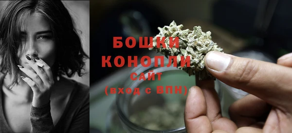 прущие грибы Протвино