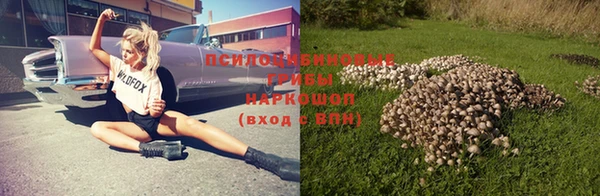 ГАЛЛЮЦИНОГЕННЫЕ ГРИБЫ Бугульма